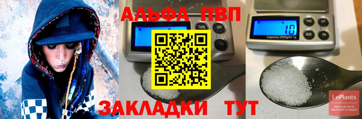 Альфа ПВП СК Невинномысск