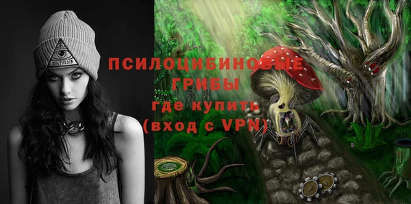 ПСИЛОЦИБИНОВЫЕ ГРИБЫ Новый Уренгой