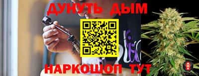 гашик Кингисепп