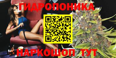 эйфоретик Бузулук