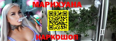 гашик Кингисепп