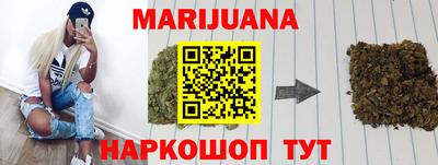 гашик Кингисепп