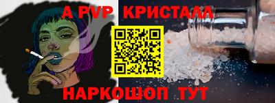 гашик Кингисепп