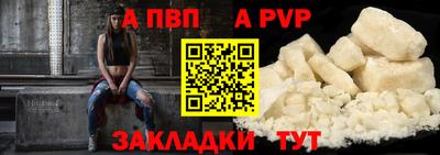 гашик Кингисепп