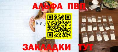 гашик Кингисепп
