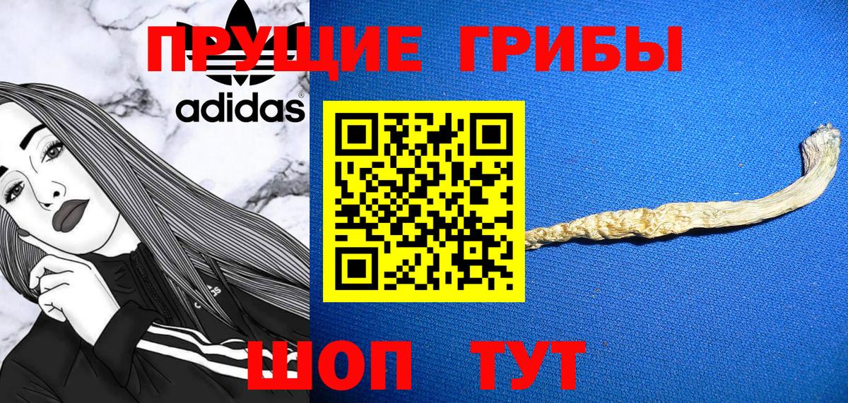 Галлюциногенные грибы GOLDEN TEACHER  купить наркоту  Невинномысск  Вход с VPN 