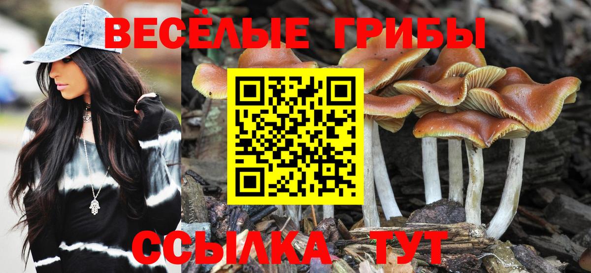 Галлюциногенные грибы Magic Shrooms Невинномысск
