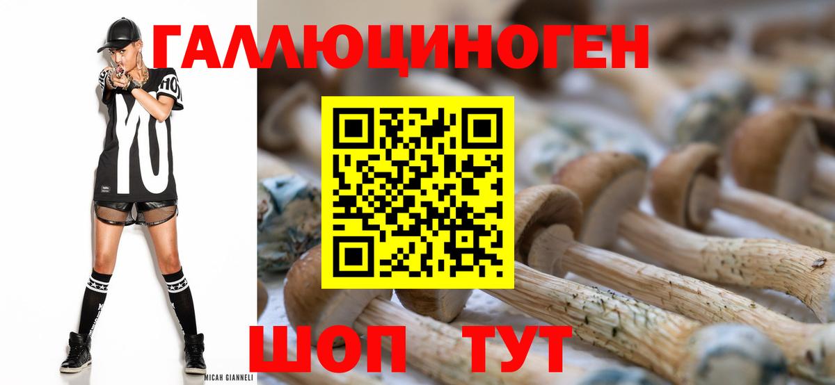 Галлюциногенные грибы Magic Shrooms  Невинномысск  Псилоцибиновые грибы Cubensis 