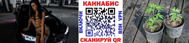 как найти закладки  Невинномысск  Шишки марихуана индика 